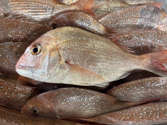 Order fish from Mitch's Fish Market in Honolulu Hawaii | Mitch's